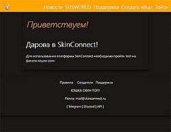 Скриншот сайта SkinConnect